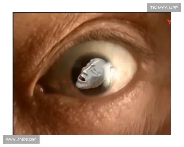 风云：面具下的对决